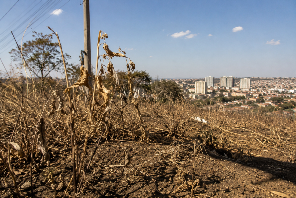 Defesa Civil alerta para aumento do risco de incêndios em São Paulo defesa-civil-alerta-para-aumento-do-risco-de-incendios-em-sao-paulo
