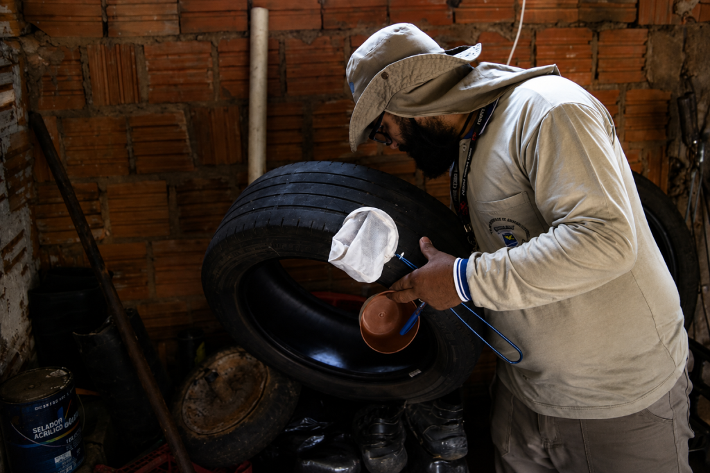 ms-registra-6.360-casos-confirmados-de-chikungunya